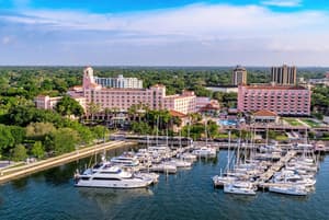 BA.X Tampa - Board of Advisors